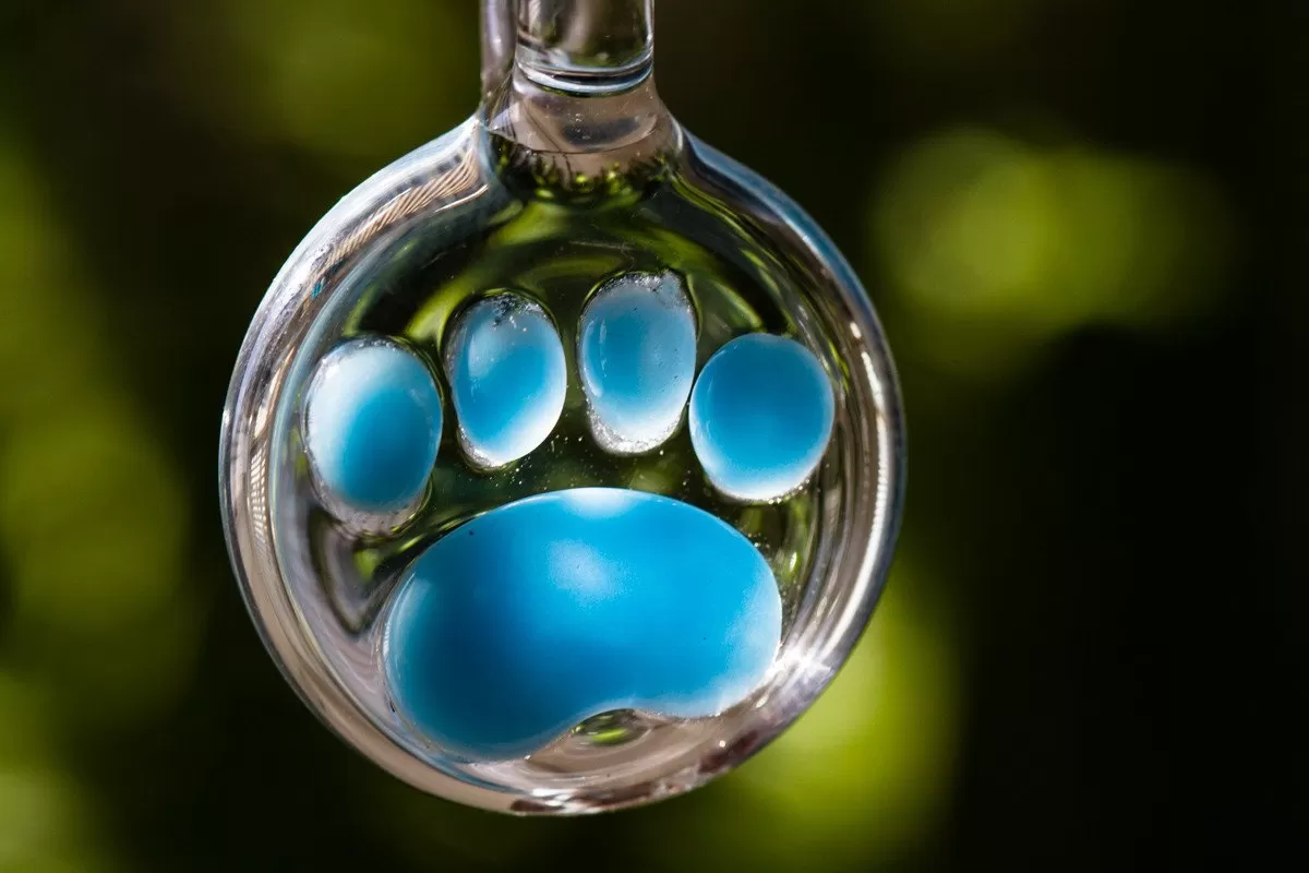 Paw Print Pendants with Cremains